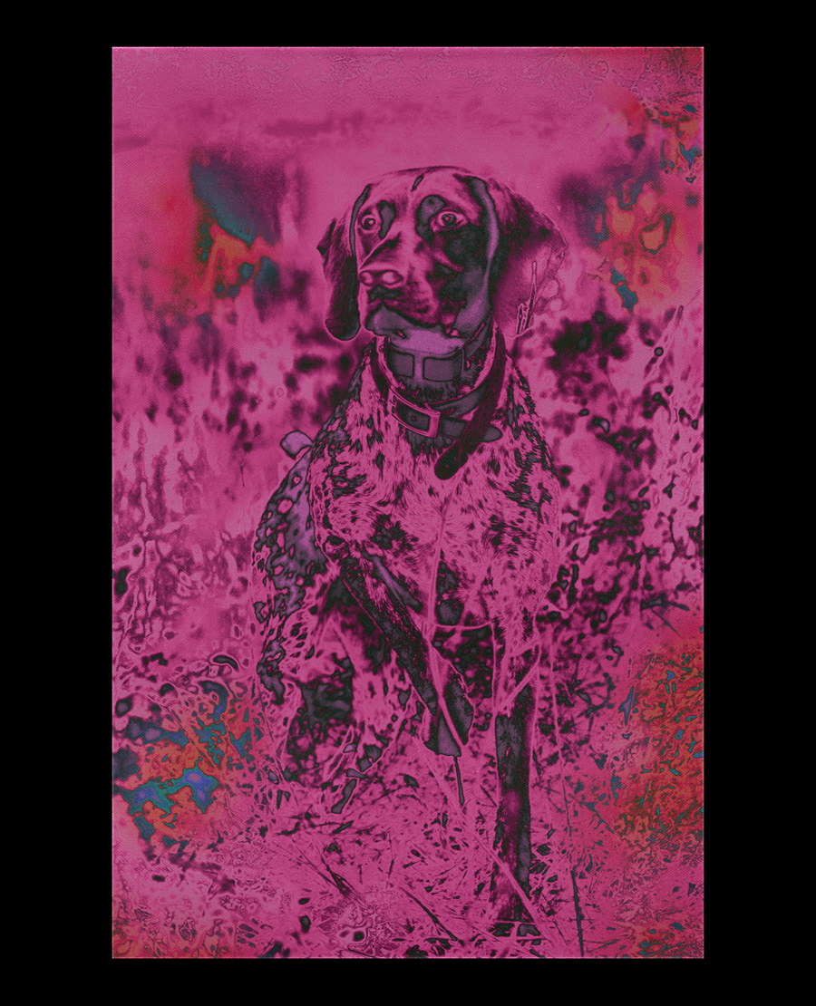 Плакат из серии "Post-Capitalist" Дэвида Рудника, демонстрирующий цифровой брутализм с огромными шрифтами без сетки, системными цветами и дистопическими визуальными элементами, вдохновлёнными эстетикой раннего интернета и 90-х.