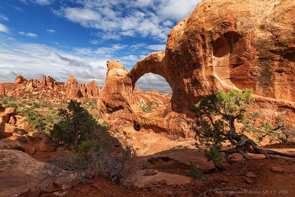 New Year In Utah. Pet, Senior, Landscape, portrait studio, photographer in Miami and Sou