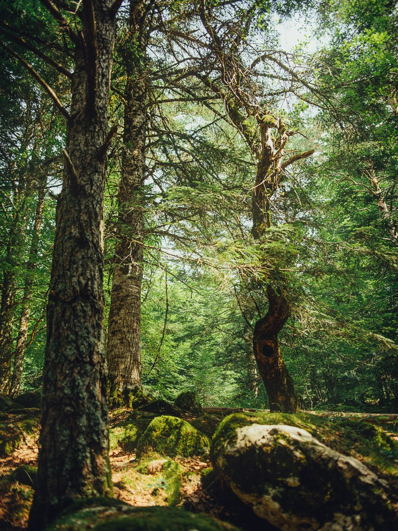 Galeria. Creador de contenido visual en Barcelona | Dima Kit