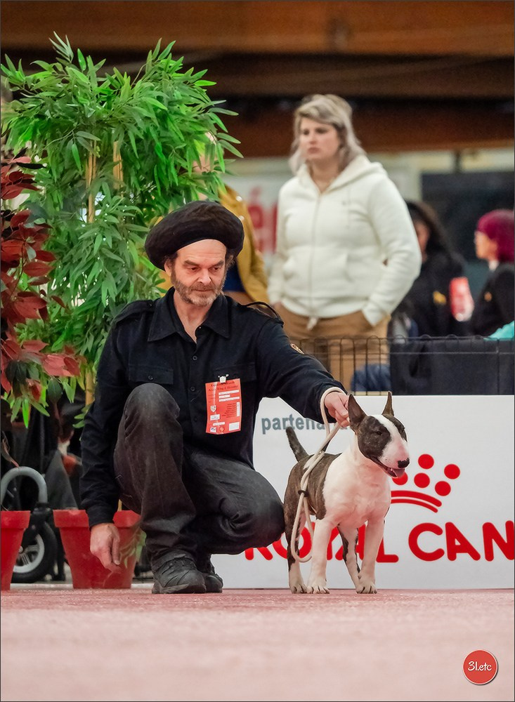 🇫🇷Exposition Canine Internationale de Perpignan. Photographe à Strasbourg | Portraits, Studio, Enfants, Événements