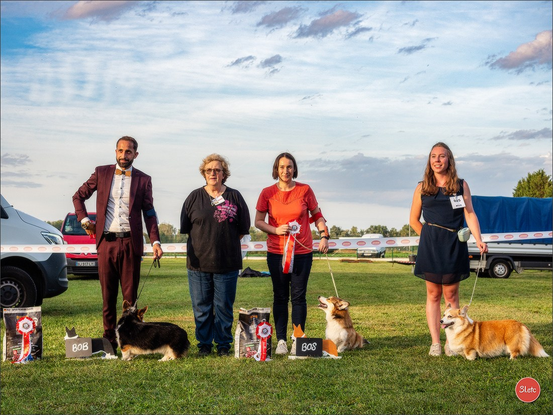 Photographie animalière. Photographe à Strasbourg | Portraits, Studio, Enfants, Événements