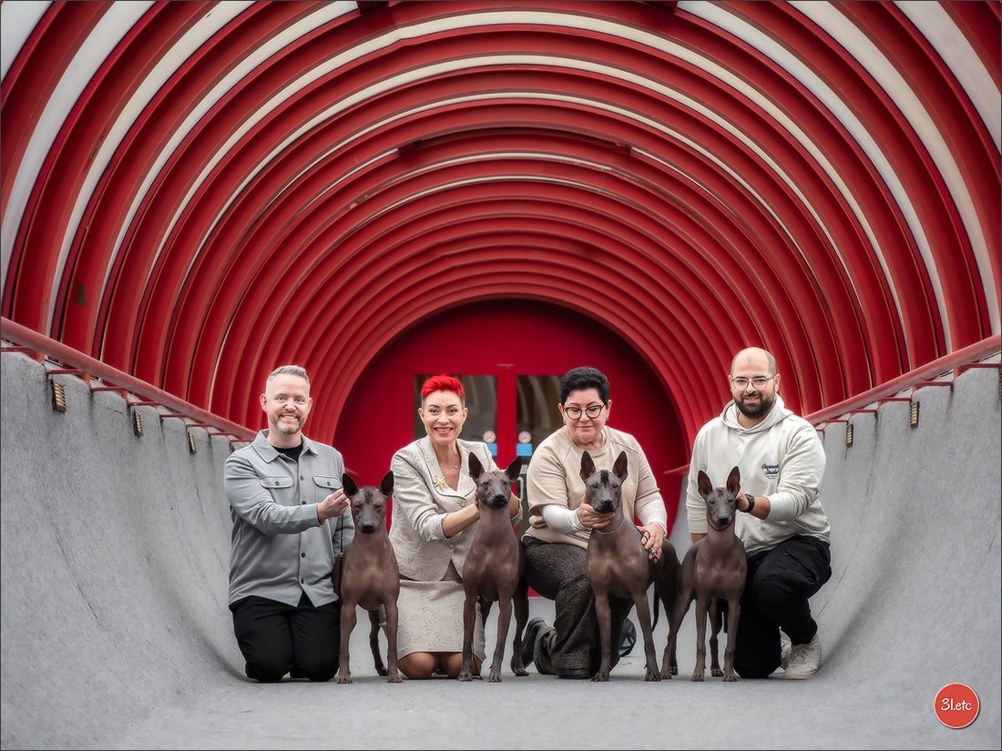 13-14.12.2025   🇧🇪   Brussels Dog Show. Photographe à Strasbourg | Portraits, Studio, Enfants, Événements