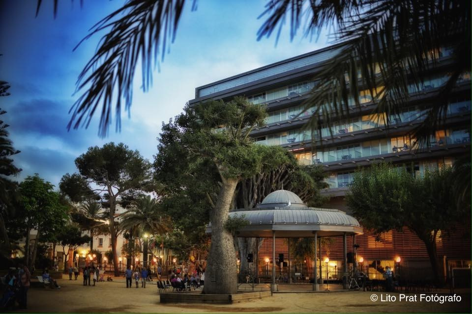 Cádiz. Lito Prat - Fotografía Social y de Eventos en Cádiz