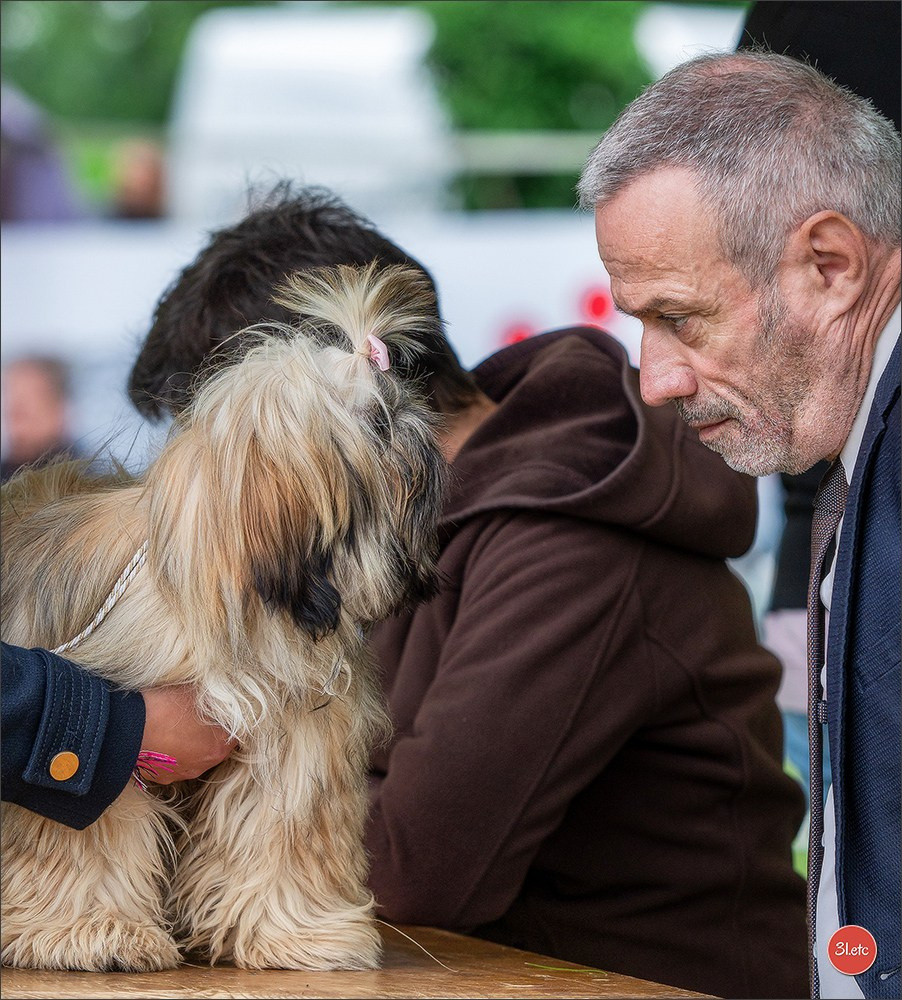 Expo canine Nancy  🇫🇷  25/05/2025. Photographe à Strasbourg | Portraits, Studio, Enfants, Événements