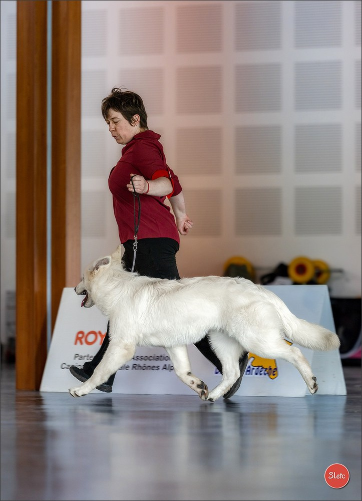 Expo canine 🇫🇷 Valence 02-03/05/2026