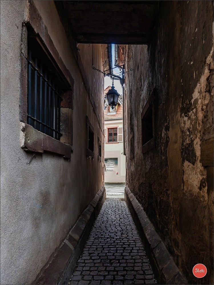 Ретрит в Эльзасе с Марией Ланг. Photographe à Strasbourg | Portraits, Studio, Enfants, Événements