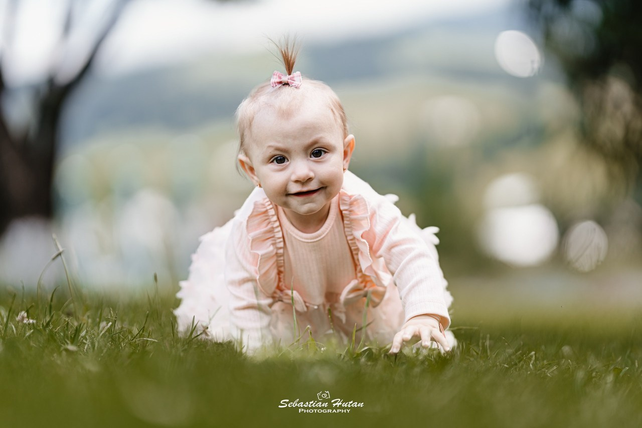 Recenzii. Timeless Bucovina