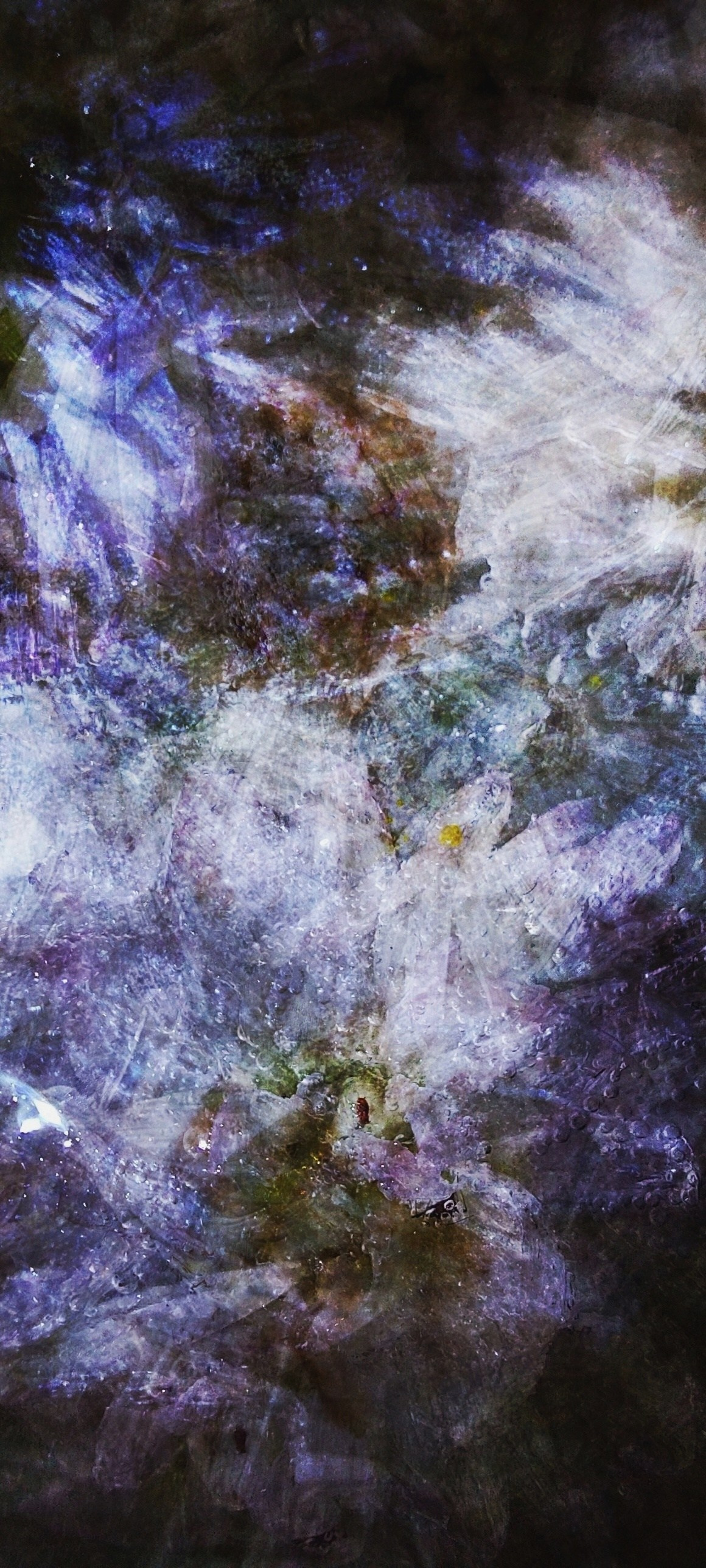 Продаж робіт. Photographer artist Liashenko Oksana