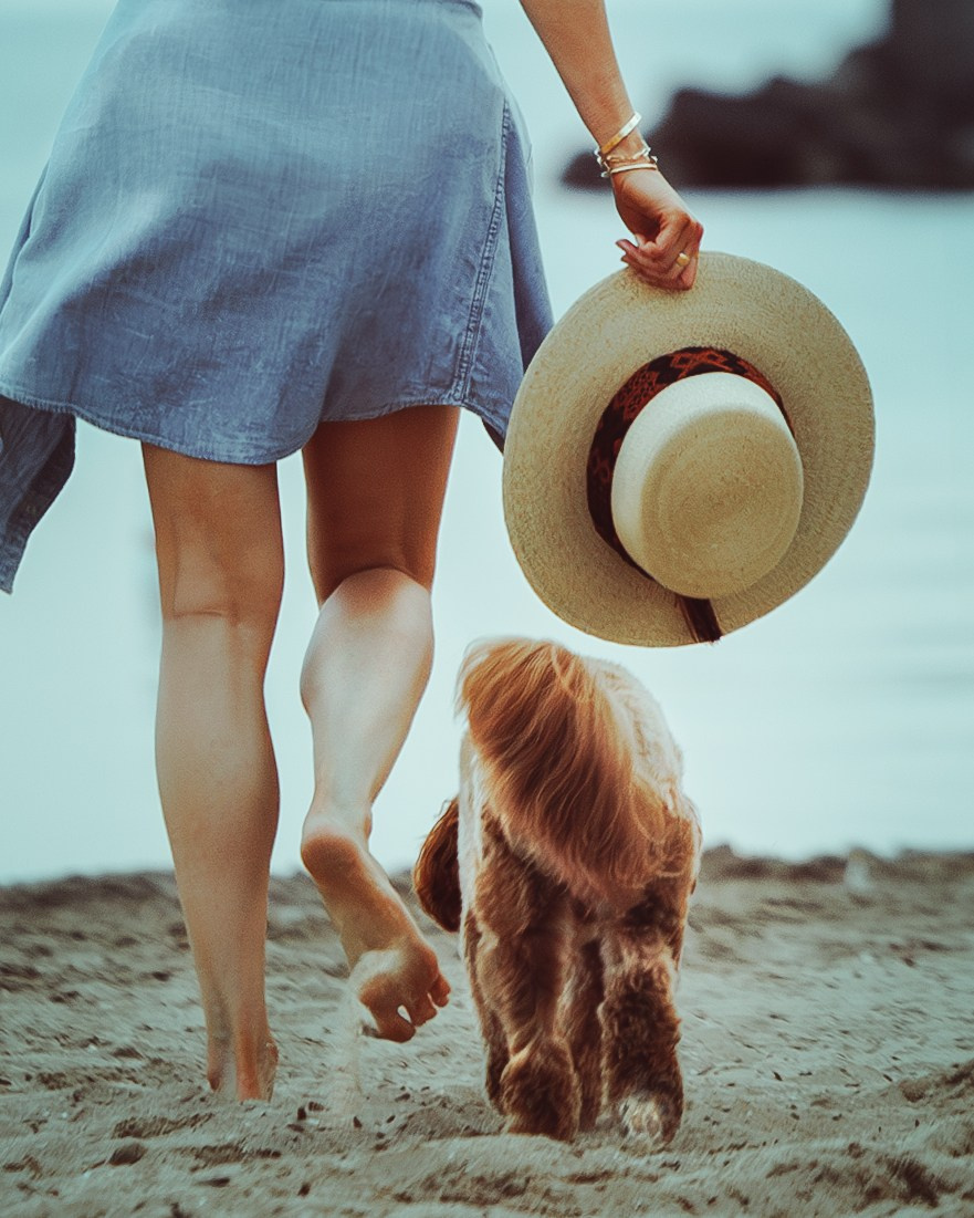 Howie & Callie. Pet Photographer Viktoriya Aleshenko