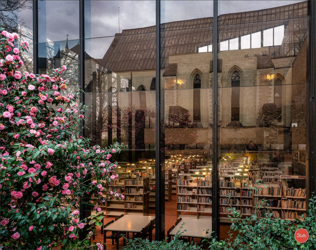 Angers. Photographe à Strasbourg | Portraits, Studio, Enfants, Événements