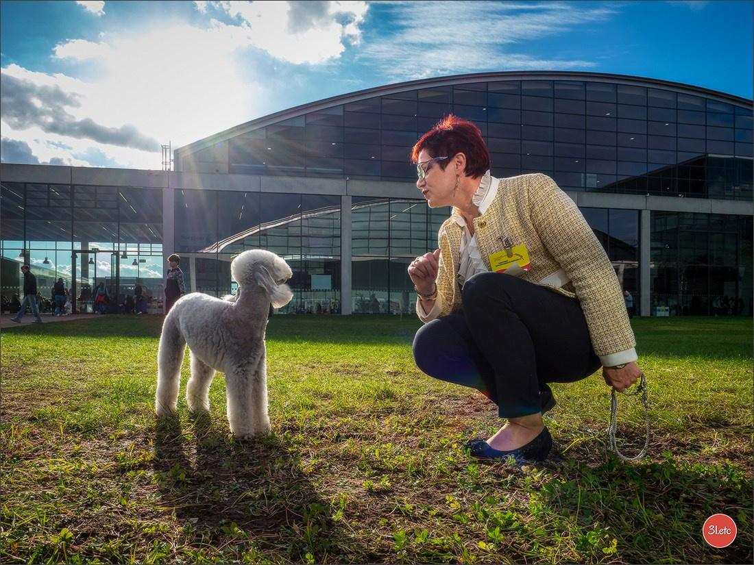 Dog Show in Karlsruhe 2023/11/11. Photographe à Strasbourg | Portraits, Studio, Enfants, Événements