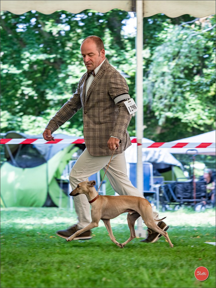 Dog Show Ludwigshafen  🇩🇪  16-17/08/2025. Photographe à Strasbourg | Portraits, Studio, Enfants, Événements