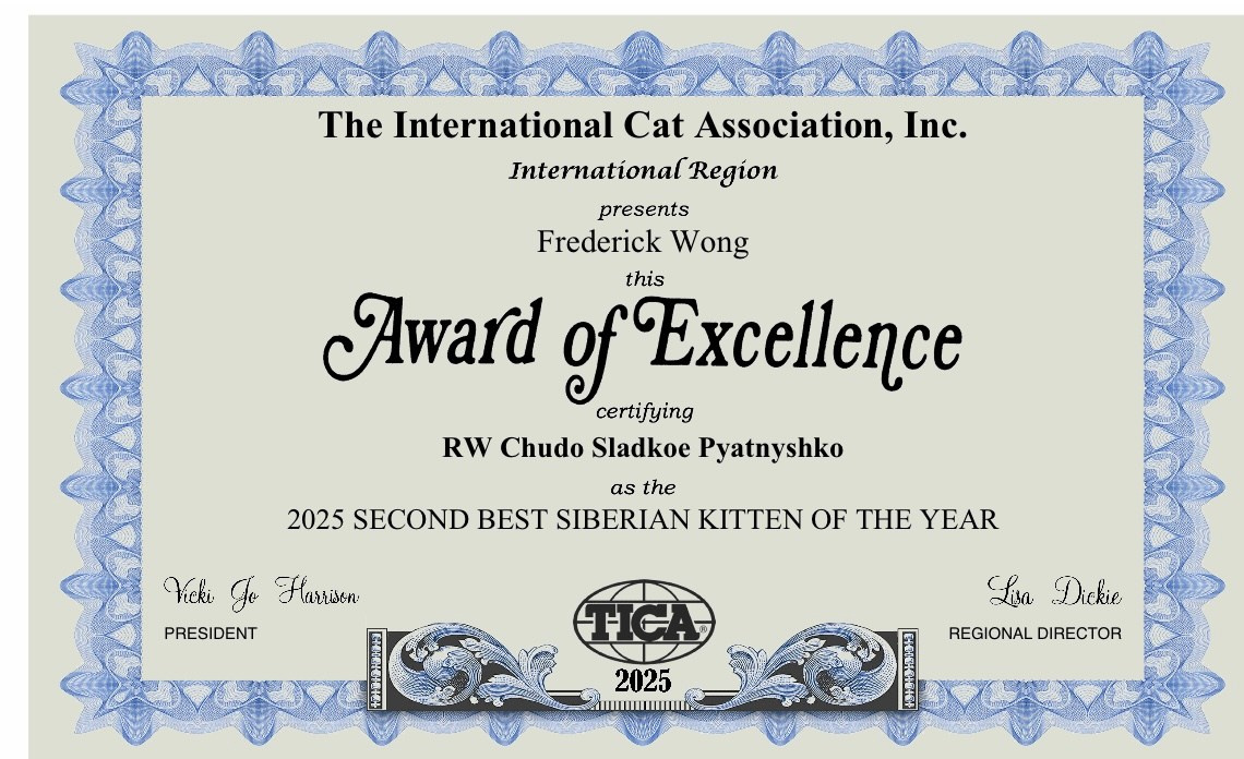 LEMON GREEN SIBERIANS CHUDO