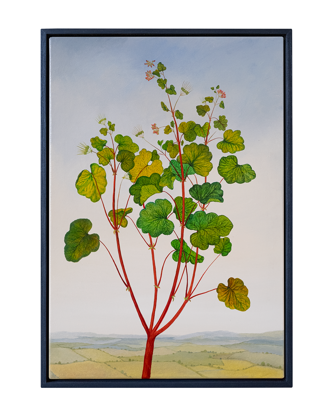 Botanical Etude No. 14. ELEN BEZHEN