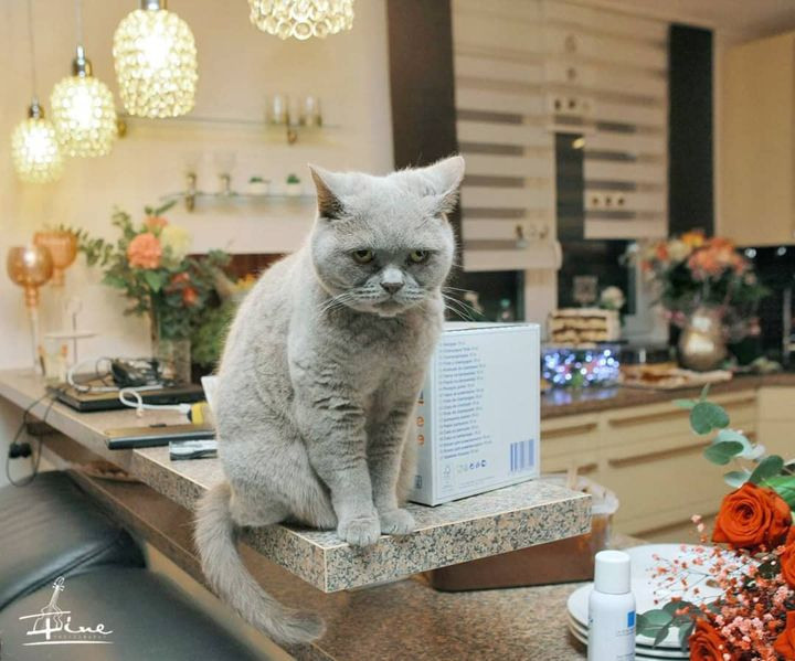 Andre+Stefanie. Khanoff production