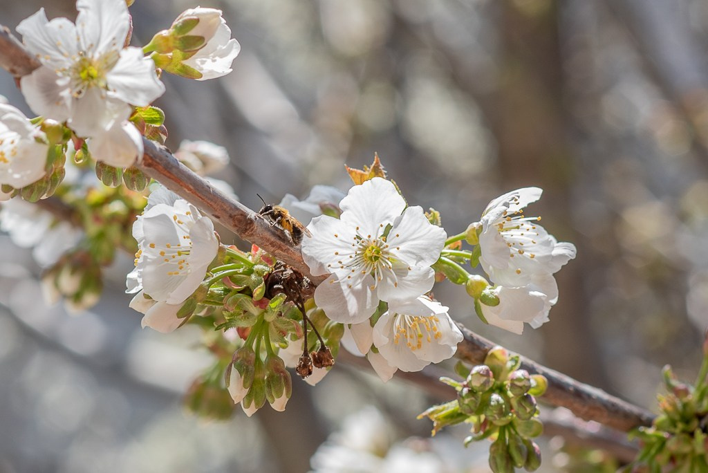 ~Animale si alte vietati~. Andreea Ivan art-Fotograf Constanta, Fotograf profesionist Constanta, Fotograf de nunta Constanta, botez, sedinte foto cu tematica, portret