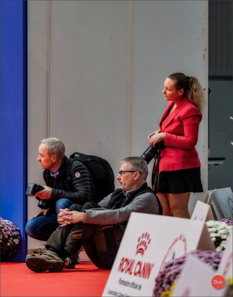 EXPOSITION CANINE NATIONALE ET INTERNATIONALE DE METZ (ACT LORRAINE) METZ (57) - 09 & 10/11/2024. Photographe à Strasbourg | Portraits, Studio, Enfants, Événements