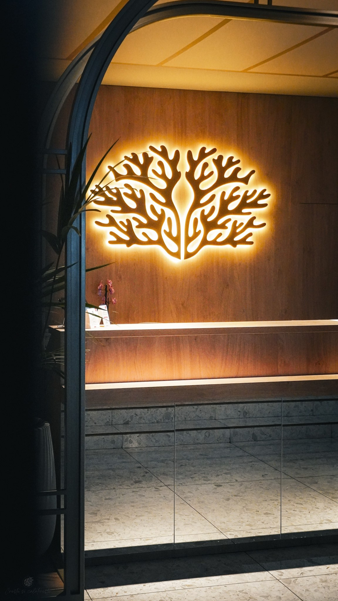 Bacolux Koralyo. Creste si calatoreste