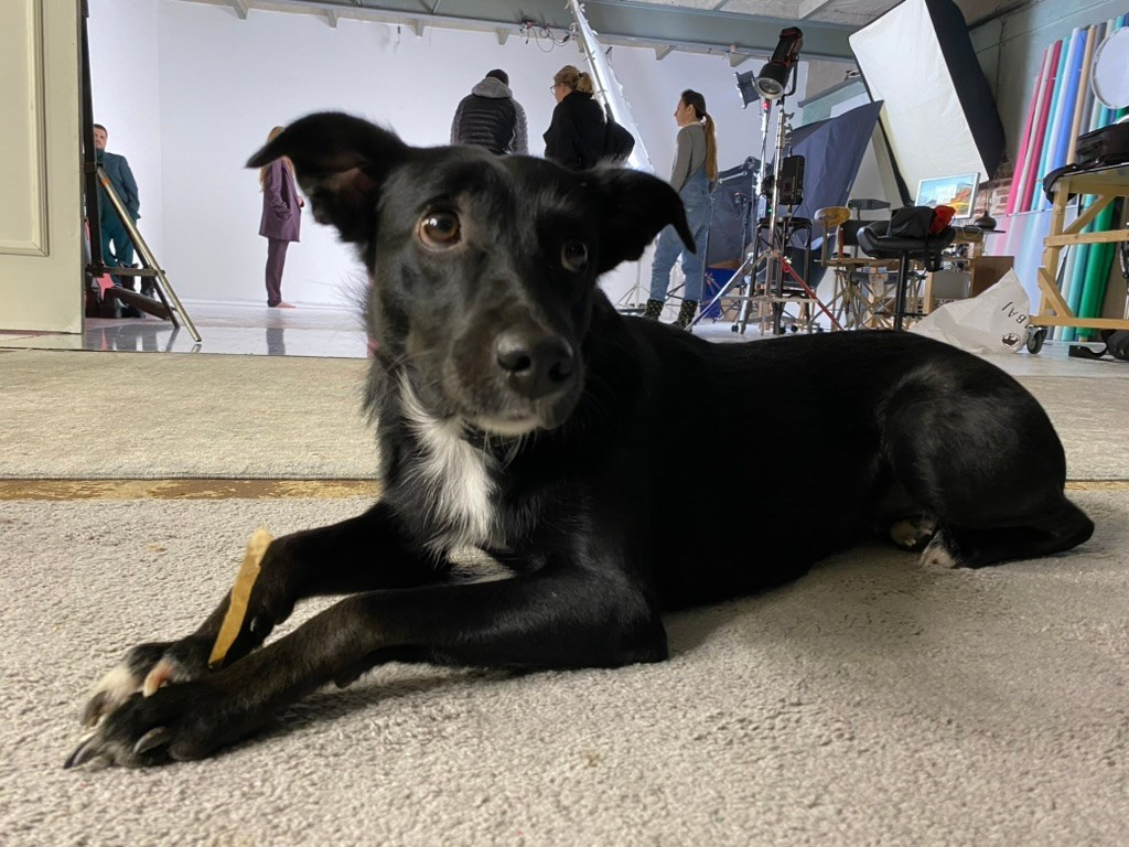 Studio Photogenic. Commercial and studio photographer in Belgrade