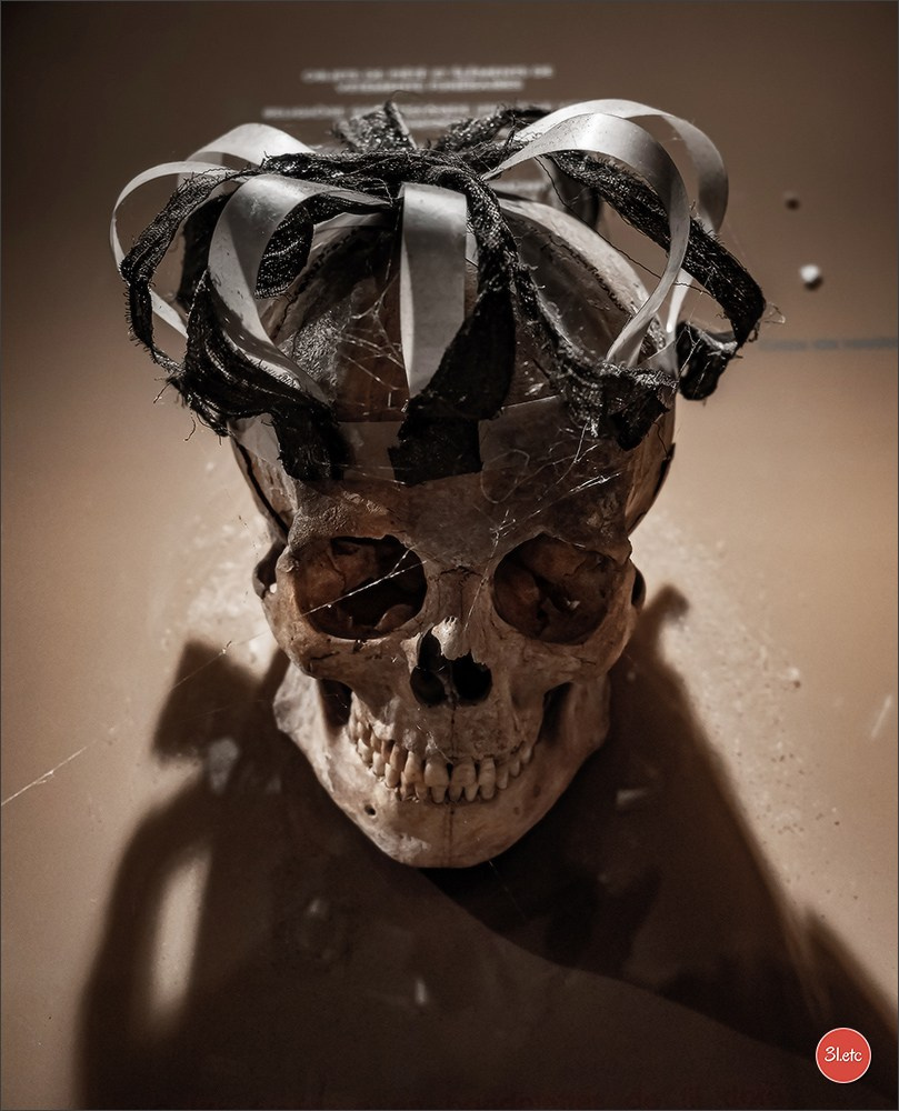 Ретрит в Эльзасе с Марией Ланг. Photographe à Strasbourg | Portraits, Studio, Enfants, Événements