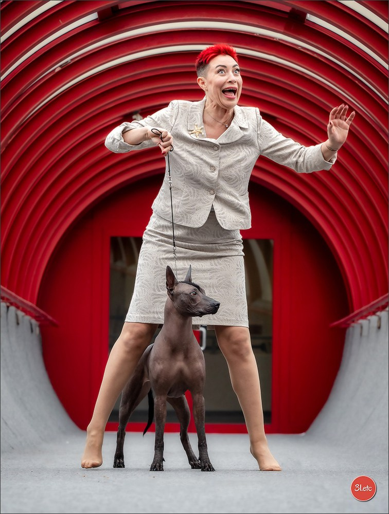 Photographie animalière. Photographe à Strasbourg | Portraits, Studio, Enfants, Événements