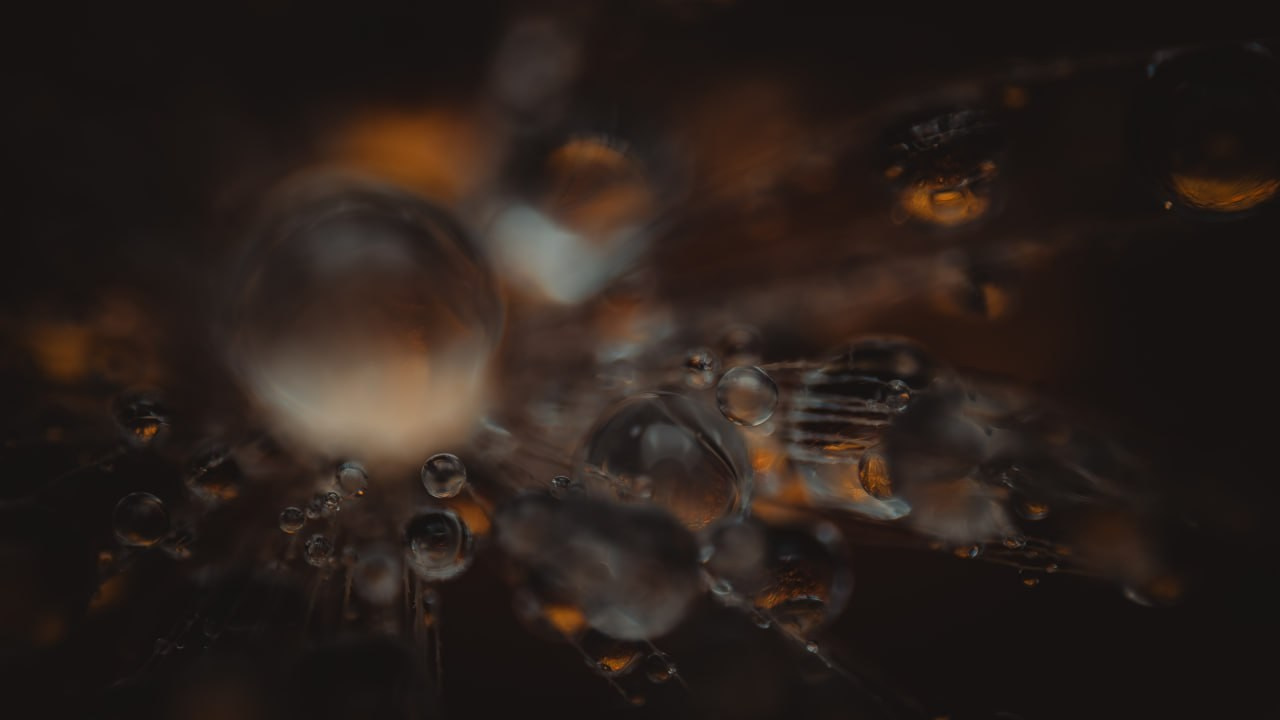 Closer Than Close-Up: Revealing a Hidden Universe in Water Droplets. Creative Macro Photographer & Content Creator in Birmingham, UK — Lee Hall