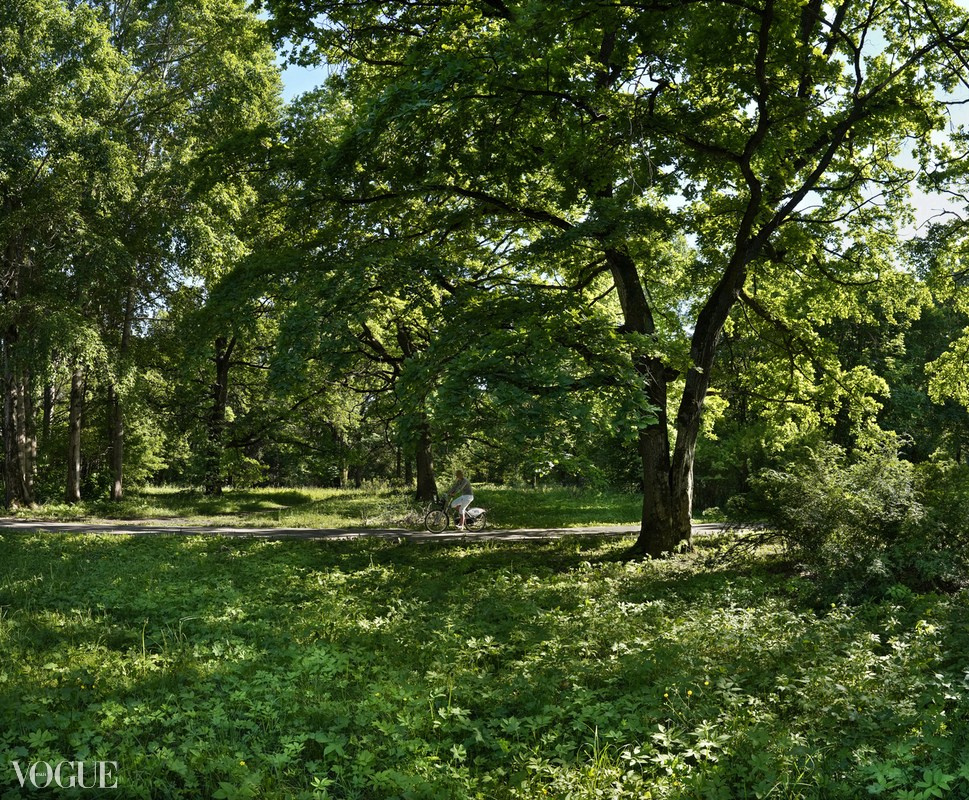 Красота садов и парков. Суть фотографии в стиле изобразительного искусства