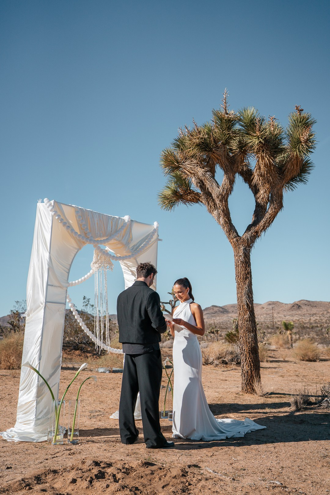 Joshua Tree Wedding 2026. Wedding Photographer in Los Angeles