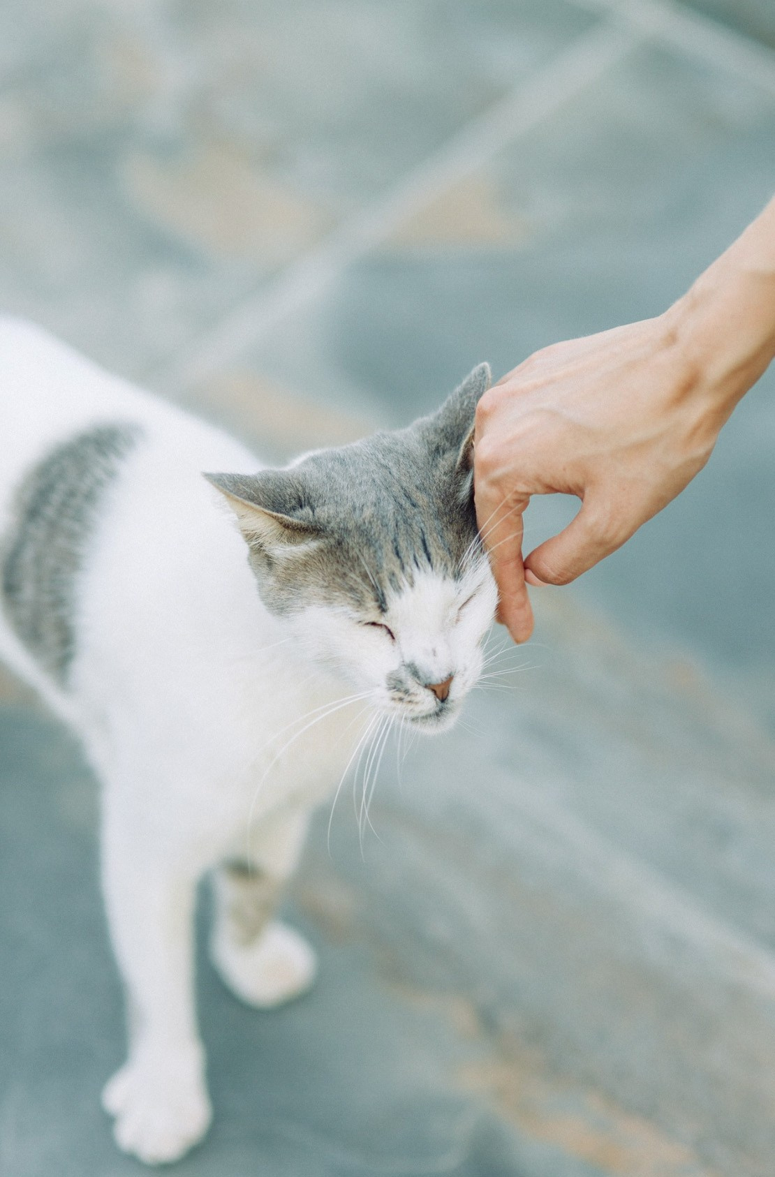 Artem & Helena. Fotostudio in Metzingen