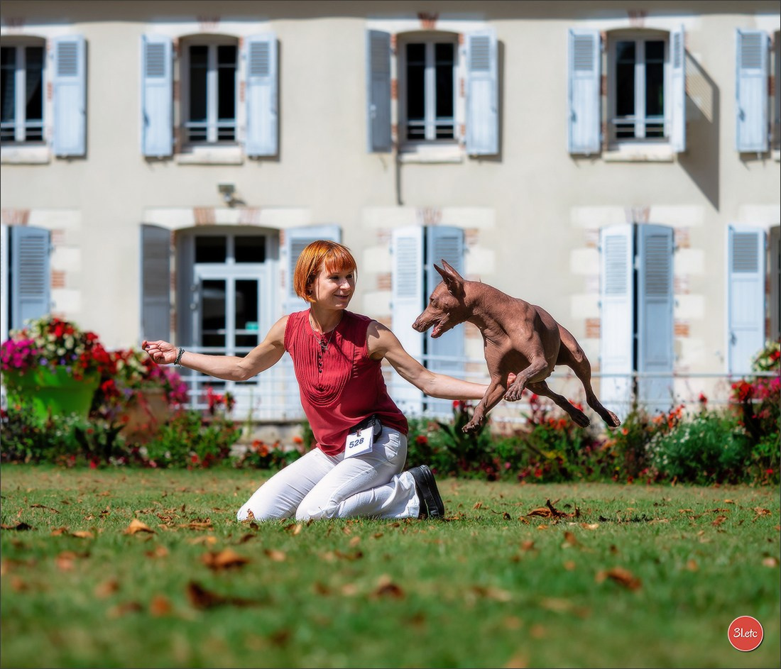 🇫🇷 Romorantin - Exposition Canine Nationale. Photographe à Strasbourg | Portraits, Studio, Enfants, Événements