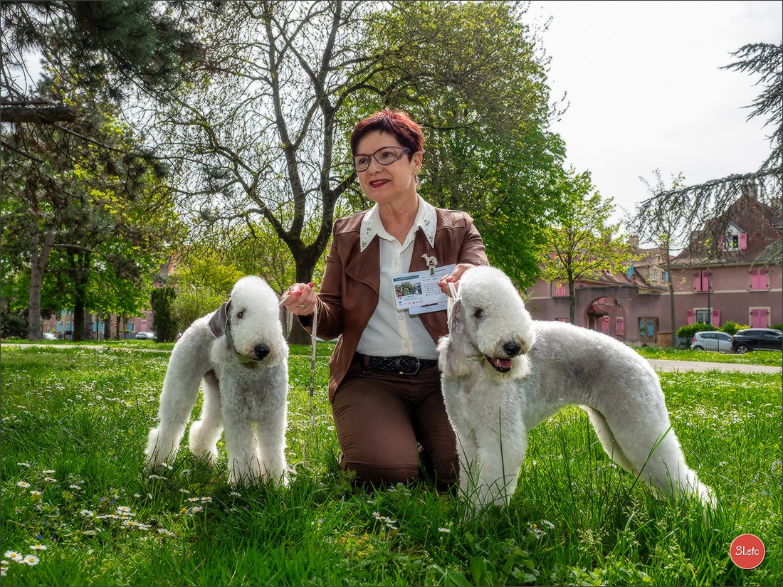 Expositions canines des 6 & 7 avril 2024 NDS Mulhouse, France. Photographe à Strasbourg | Portraits, Studio, Enfants, Événements
