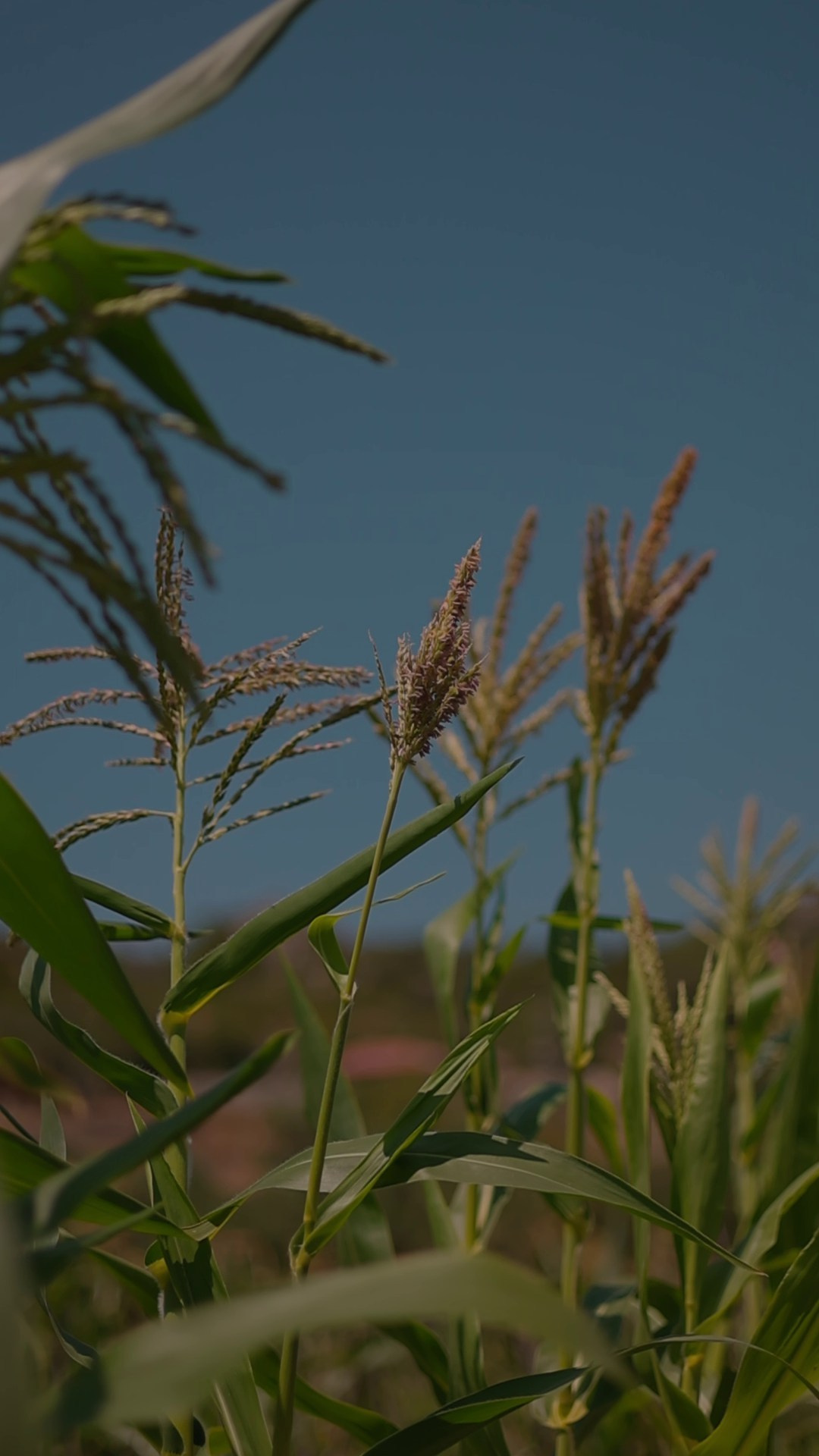 Visual stories. Professional Photo & Video Services in Bodrum & Marmaris | Tekin Creative