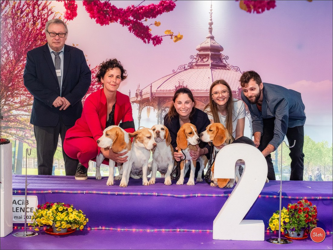 Expo canine 🇫🇷 Valence 03-04/05/2025. Photographe à Strasbourg | Portraits, Studio, Enfants, Événements