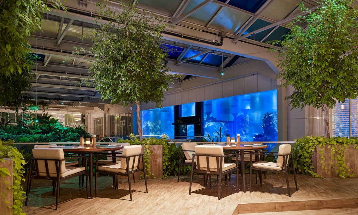 Paragraph Resort & SPA Shekvetili. Главная