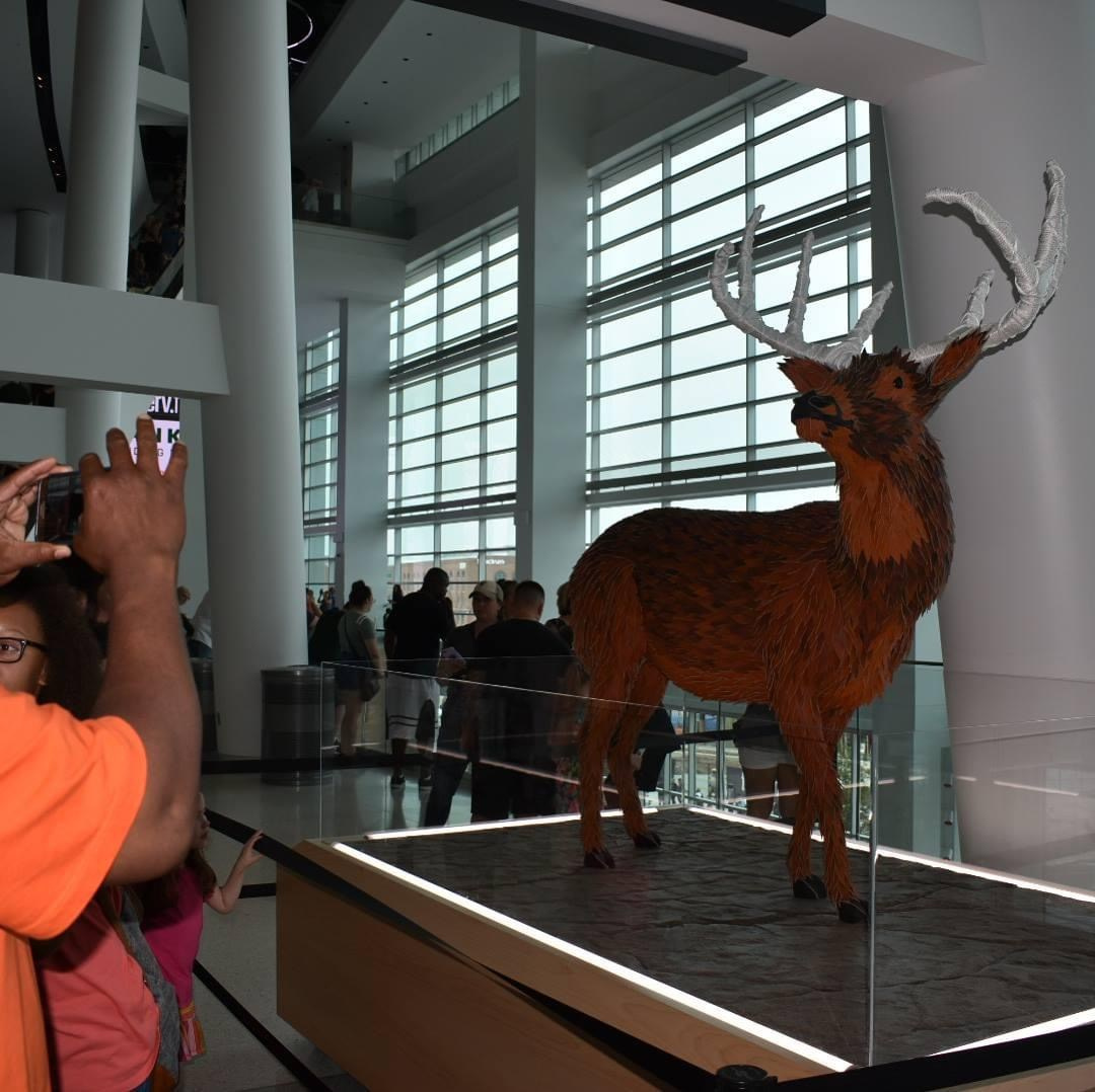 Lens Work from the Field 11