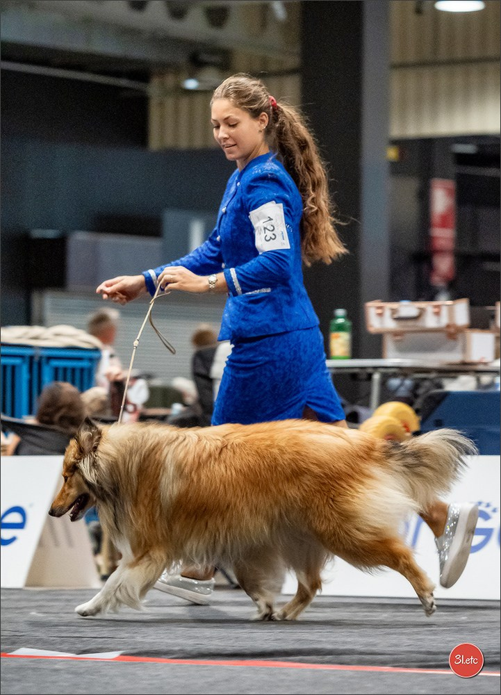 🇱🇺 LUXEMBOURG 🇱🇺 International Dog Show 🇱🇺 30/08 - 31/08/2025. Photographe à Strasbourg | Portraits, Studio, Enfants, Événements