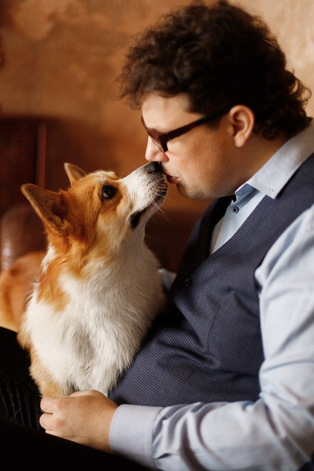 Corgis in studio, Moscow. Kaja | fotograf psów we Wrocławiu