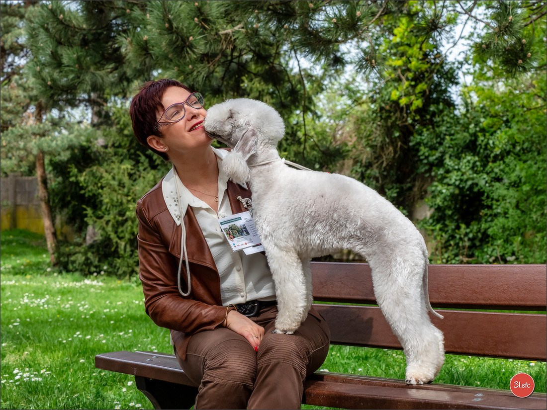 Photographie animalière. Photographe à Strasbourg | Portraits, Studio, Enfants, Événements