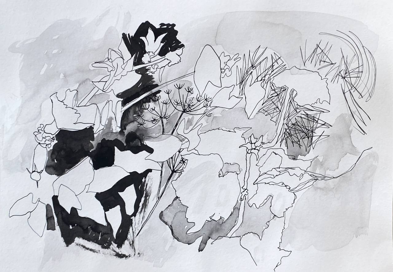 'Memory-Map', Mozyr, August 2023. 7 ink drawings 30 x 40 cm made during my trip to a place where I spent my summer holidays as a child. All the drawings were made from life in places important to my memories: on the river bank, in the garden, in ravines, in the forest. Each drawing is my portal to that place. 