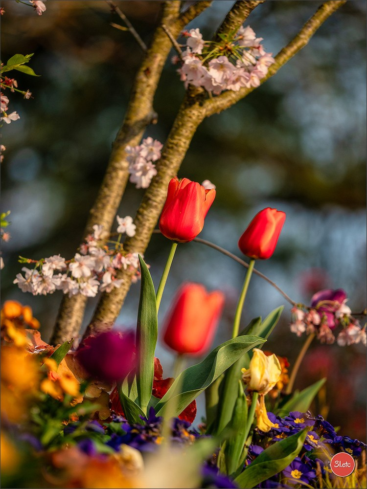 Angers  🇫🇷. Photographe à Strasbourg | Portraits, Studio, Enfants, Événements