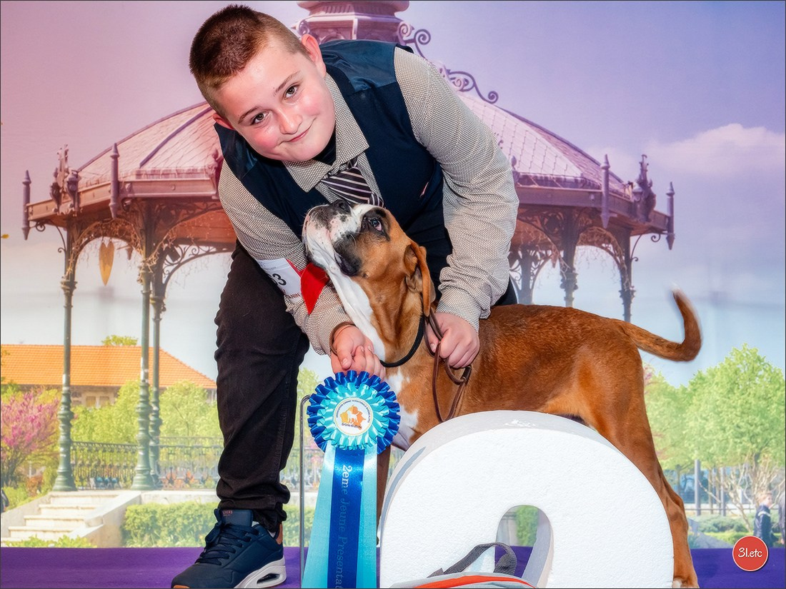Expo canine 🇫🇷 Valence 03-04/05/2025. Photographe à Strasbourg | Portraits, Studio, Enfants, Événements