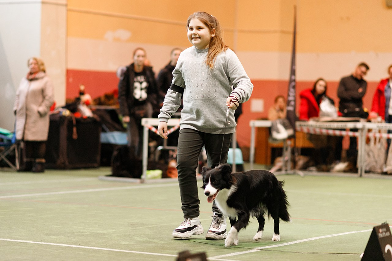 Grodno dog show. Kaja | fotograf we Wrocławiu | ludzie i psy