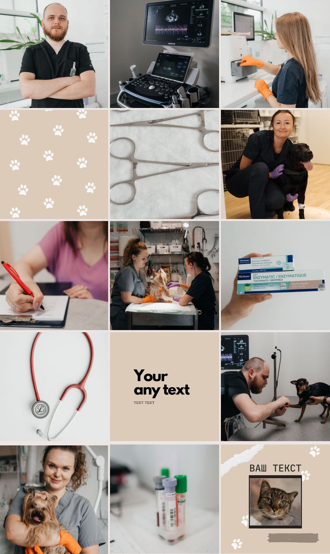 Veterinaarkliinik Esteevet. Fotograaf Tatjana Otter