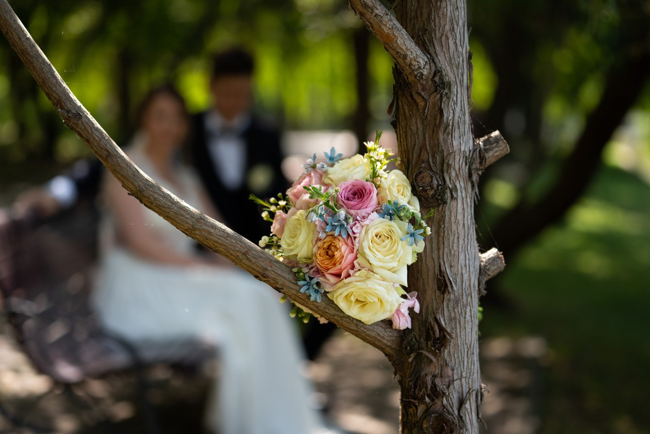 Fotografii nunta — Cristina si Adrian. Fotograf Alin Stefan