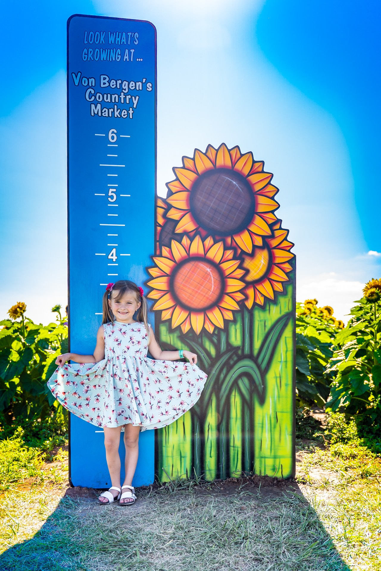 Sunflowers. ARTIGO Igor Rudyi Art Photography