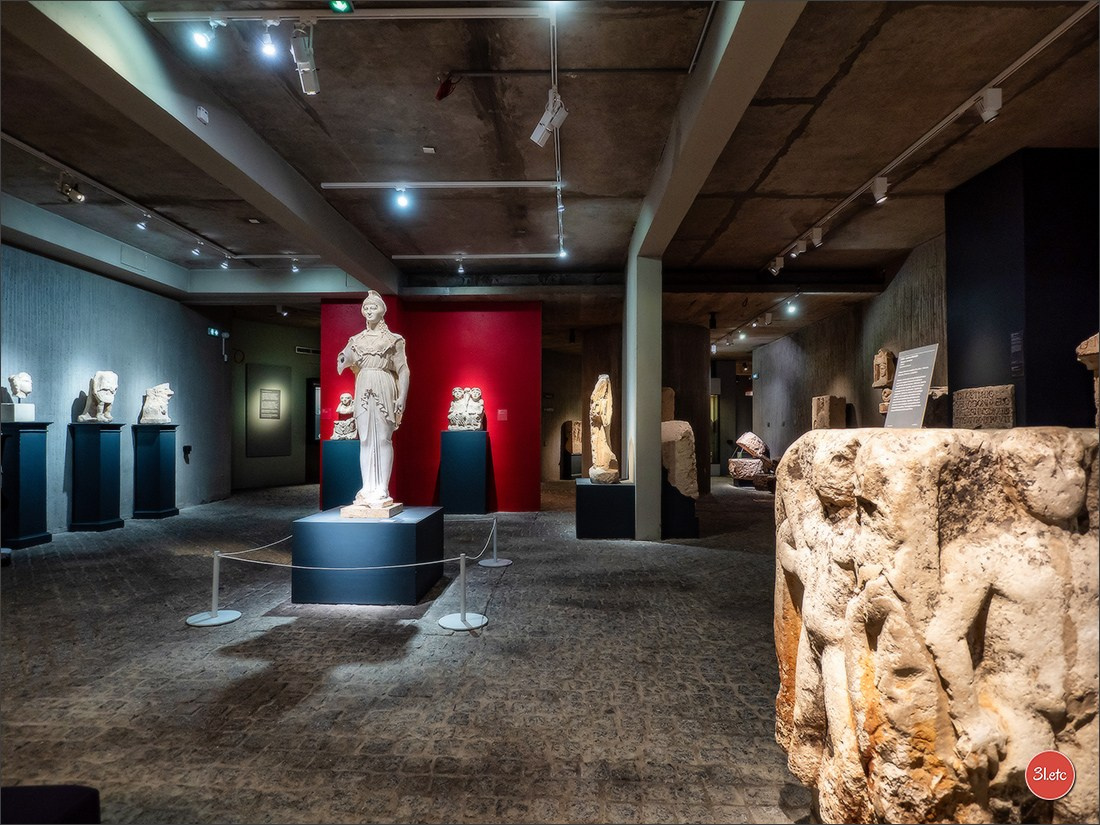 Poitiers 🇫🇷. Photographe à Strasbourg | Portraits, Studio, Enfants, Événements