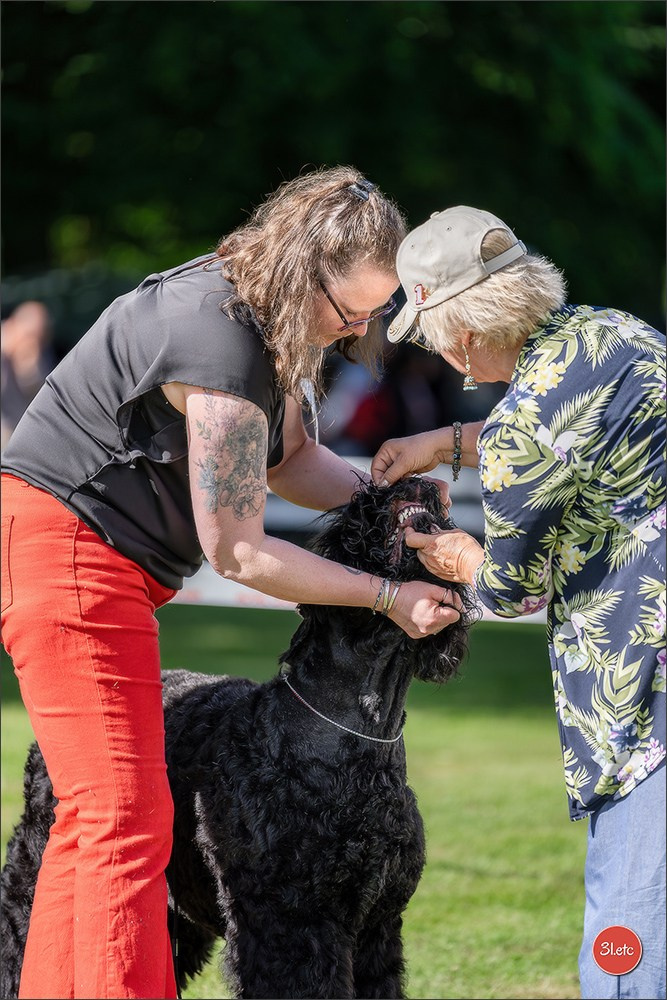 🇫🇷  CHARTRES  🇫🇷  2026  🇫🇷  Exposition Canine Nationale - Château des Boulard