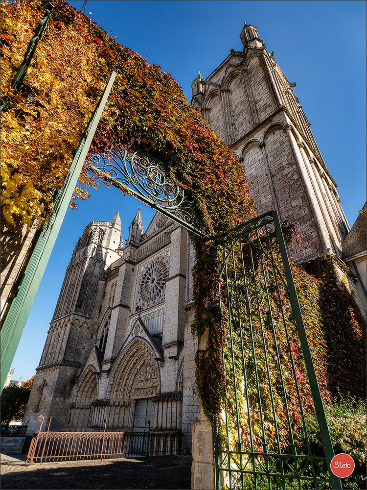 Poitiers 🇫🇷. Photographe à Strasbourg | Portraits, Studio, Enfants, Événements