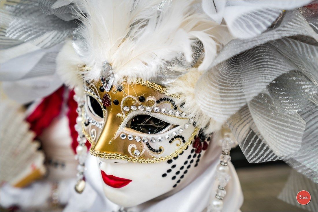 Concerts . Carnavals . Festivals. Photographe à Strasbourg | Portraits, Studio, Enfants, Événements