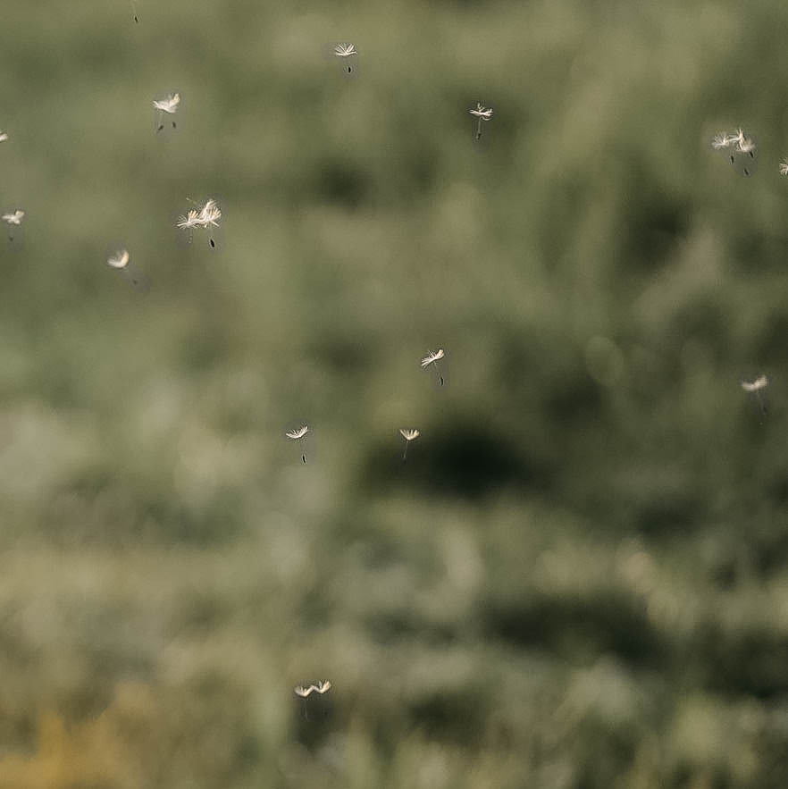 Maria. Фотограф в Милане Анна Линник